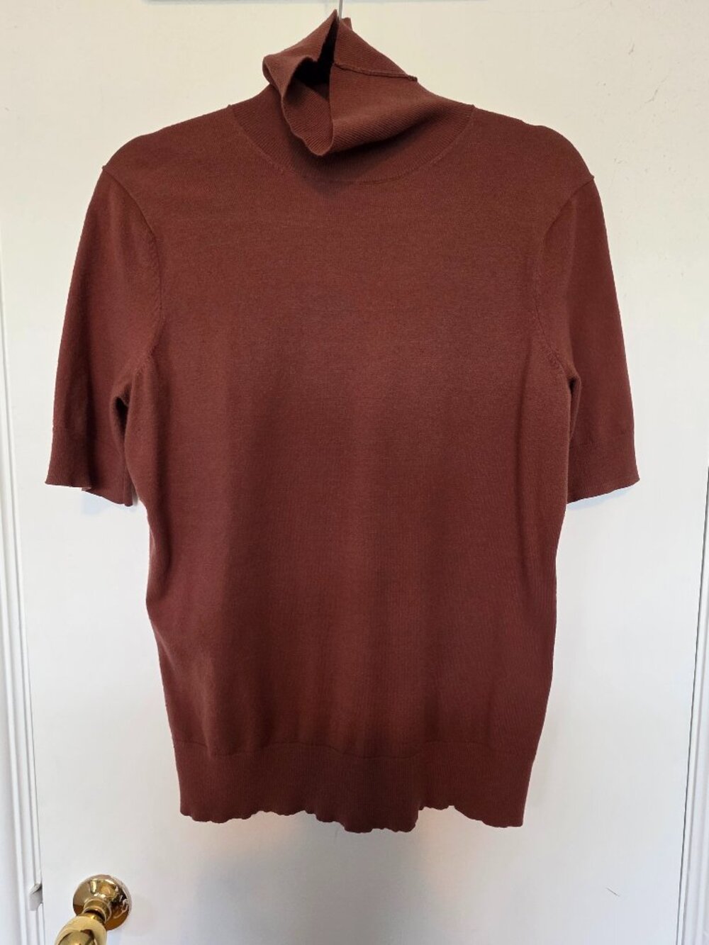 Brown Torrid Turtleneck